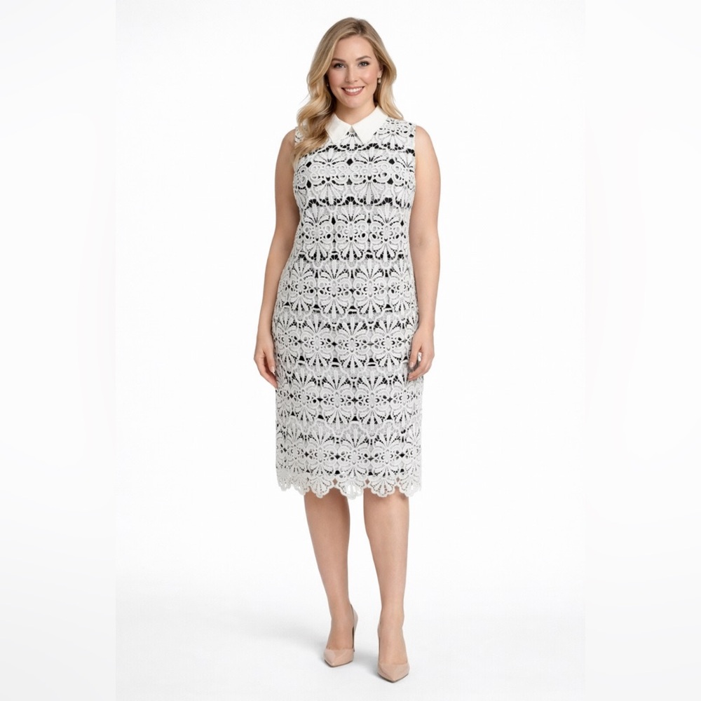 Adrianna Papell Sheath Dress 16 Black White Lace Career Church Party Cruise